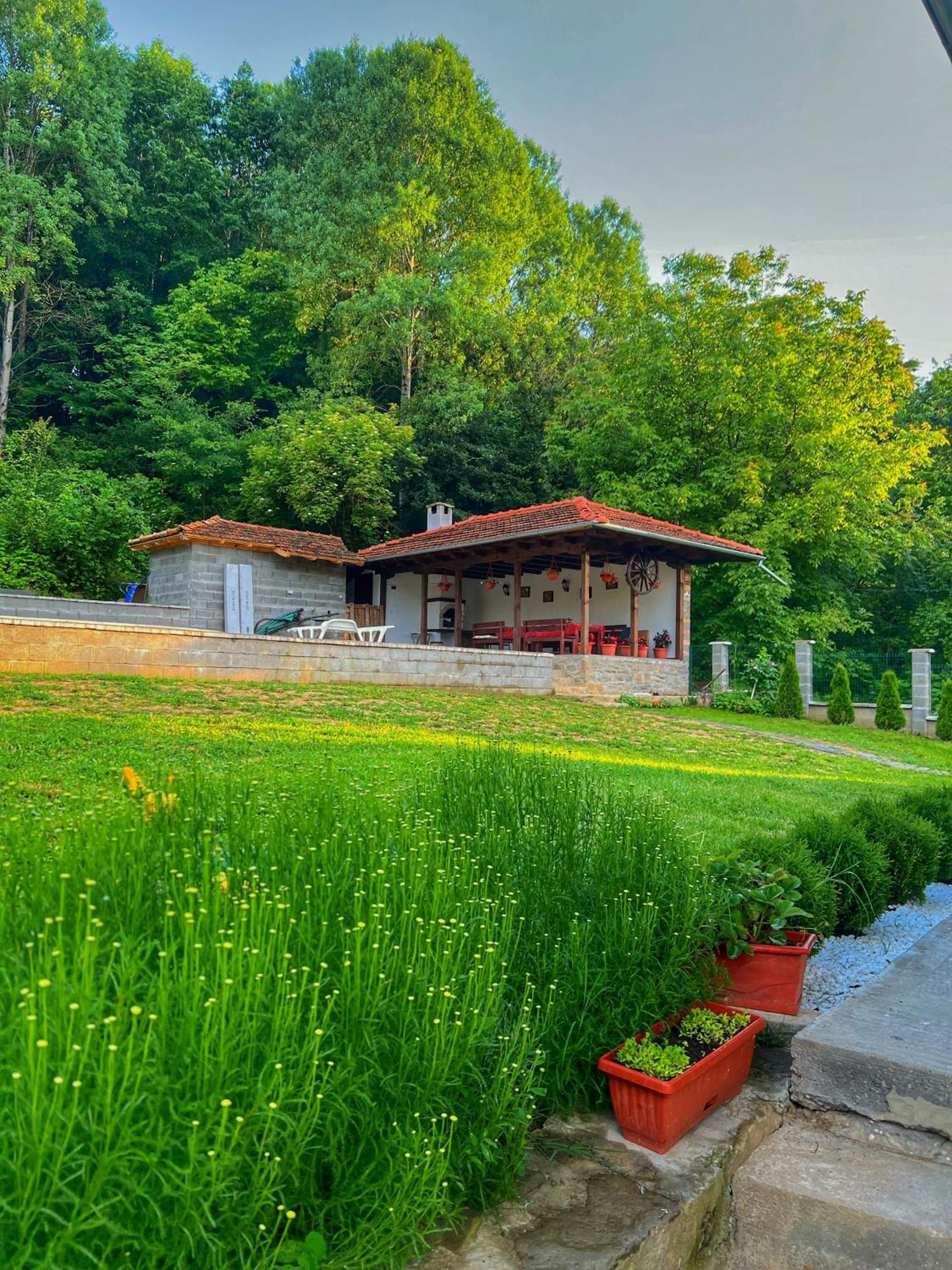 Старият Дюкянь Villa Elena Exterior foto